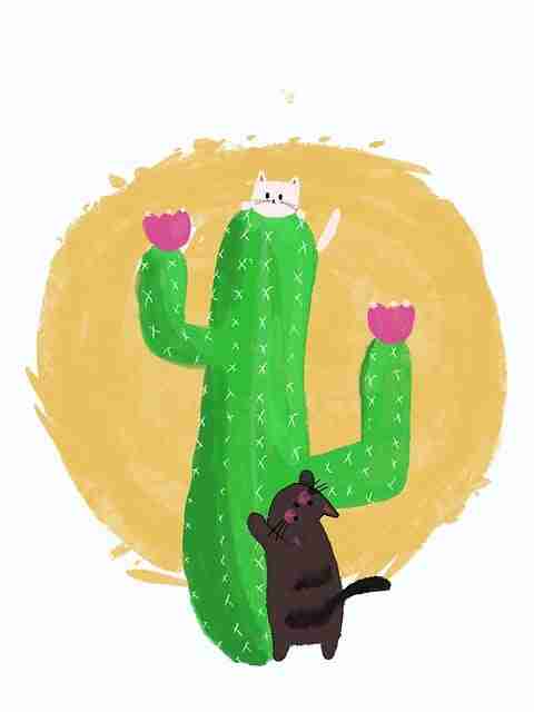 先锋——海角流量密码｜2025版