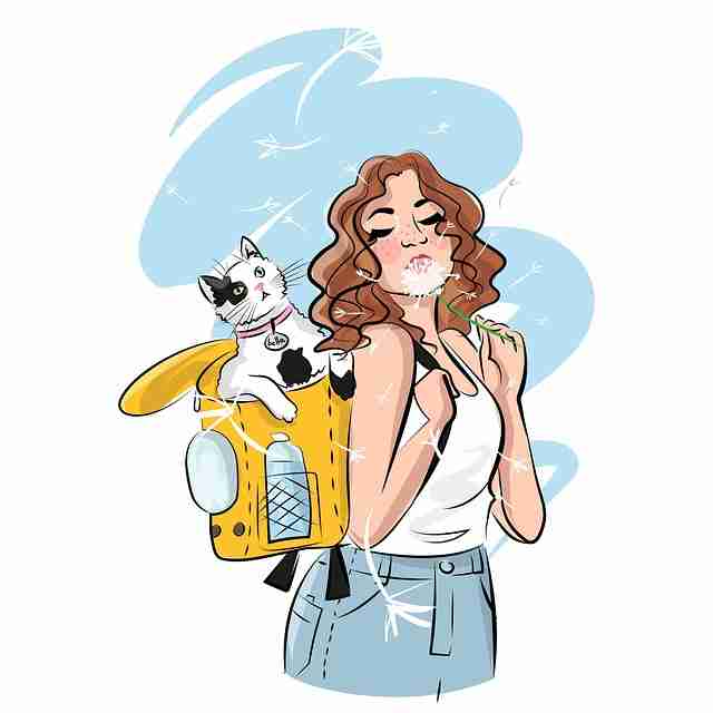 智能蘑菇影视在线观看下载:使用心得