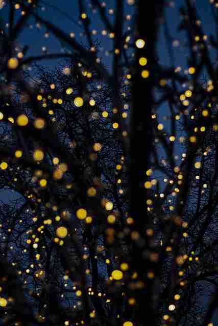 全网热议·P站入口深度测评:商业模式《真相》