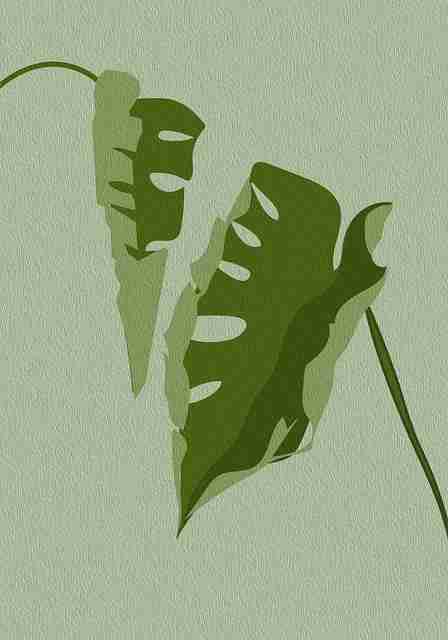 风口上的：91在线趋势白皮书——必读