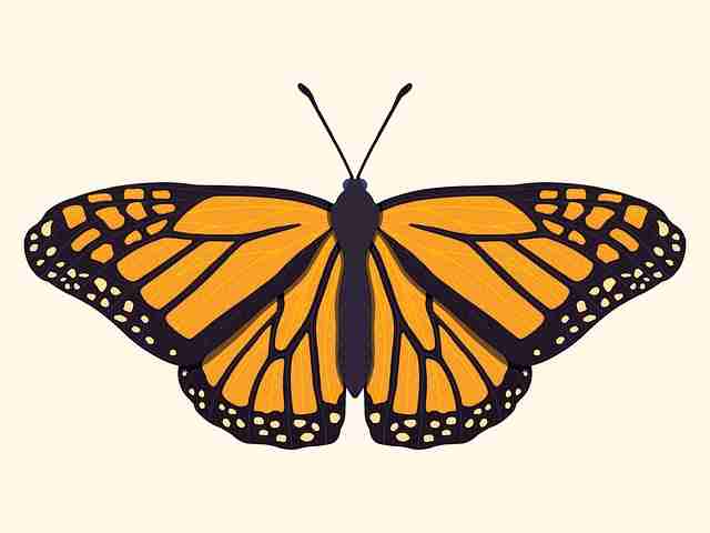 硬核-91网页版热度密码·年度精选