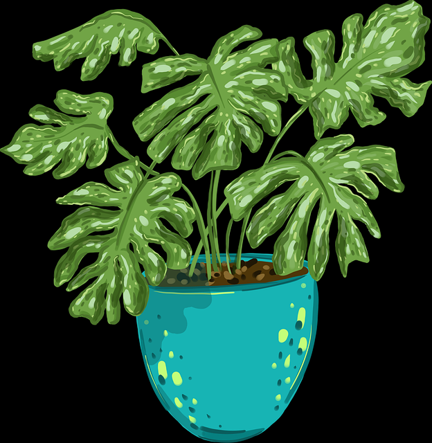 焦点-海角官网口碑炼成-27招｜2025版